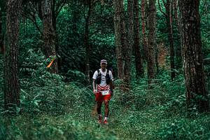 BIB: 
                            <button type="button" onclick="openModal(25237976)" class="btn btn-primary btn-sm float-right btn-popup" data-toggle="modal" data-target=".modal-high-quality">
                        <i class="fas fa-shopping-cart"></i> Add to Cart
                    </button>
                                            <button type="button" onclick="isThisMe(25237976, true)" class="btn btn-success btn-sm float-right btn-popup btn-isme hidden" data-toggle="tooltip" data-placement="bottom" title="นี่คือรูปของคุณใช่ไหม คลิกที่นี่เพื่อเอาเข้าอัลบั้ม">
                        <i class="fas fa-plus"></i> Add to album
                    </button>
                    <button type="button" onclick="isThisMe(25237976, false)" class="btn btn-warning btn-sm float-right btn-popup btn-isnotme hidden">
                        <i class="fas fa-ban"></i> Remove from album
                    </button>